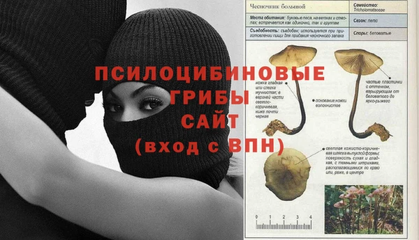 гидропоника Алексин