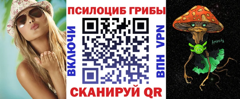 Псилоцибиновые грибы мухоморы  купить наркоту  Новокубанск 